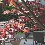 Fiorita Hotel Milano Marittima