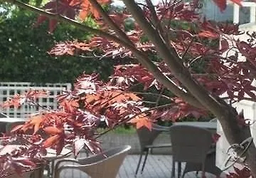 Fiorita Hotel Milano Marittima